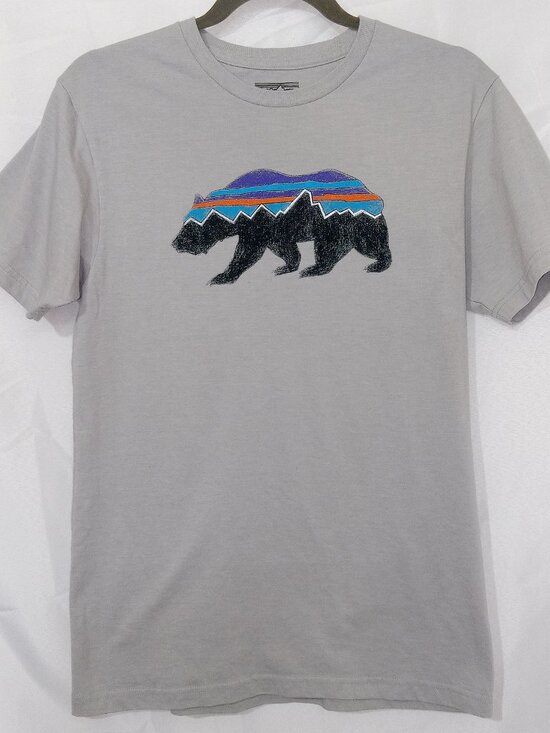 Patagonia Other - Patagonia Mens Sz S Gray Slim Fit Organic Cotton Fitz Roy Bear Mountain T Shirt